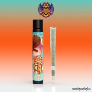 Michigander Fire 1g Preroll Flint Tropics product image
