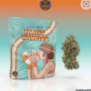 Michigander Fire 3 5g Prepack Flint Tropics product image