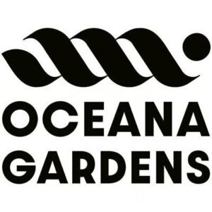 Oceana Gardens 1g Infused Preroll Orange Cream Pop product image
