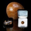Old School Hash 1g Temple Ball Black Cherry Gelato product image