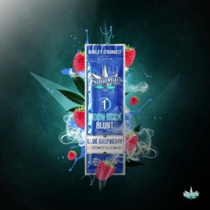 Presidential 1 5g Moon Rock Infused Blunt Blue Raspberry product image