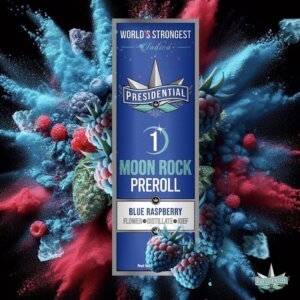 Presidential 1g Moon Rock Infused Preroll Blue Raspberry product image