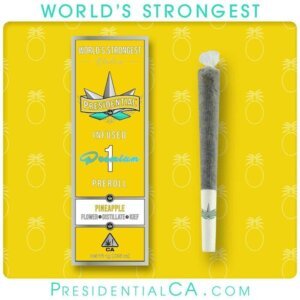 Presidential 1g Moon Rock Infused Preroll Pineapple product image