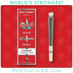 Presidential 1g Moon Rock Infused Preroll Strawberry product image