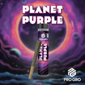 Pro Gro 1g Preroll Planet Purple product image