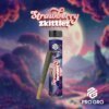 Pro Gro 1g Preroll Strawberry Zkittlez product image