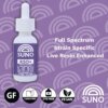Rise 200mg RSO Tincture Permanent Marker - Cali Exotics Bud Shop | California Cannabis Dispensary Rise 200mg RSO Tincture Permanent Marker product image
