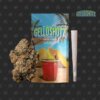 Seed Junky 1g Preroll Gello Shotz product image