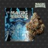 Seed Junky 3 5g Prepack Magic Marker product image