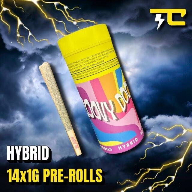 Thunder Canna 14 Pack 1g Prerolls Bag Lady 6 14-pack Thunder Canna 14 Pack 1g Prerolls Bag Lady 6 (14-pack) product image
