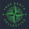 True North 200mg Gummies Electric Watermelon product image