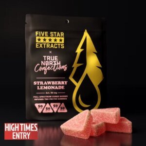 True North X Five Star Extracts 200mg Gummies Strawberry Lemonade product image