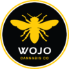 Wojo 1g Live Rosin Brain Stain product image