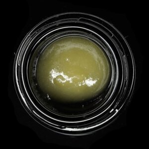 Wojo 1g Live Rosin Wojo Mints product image