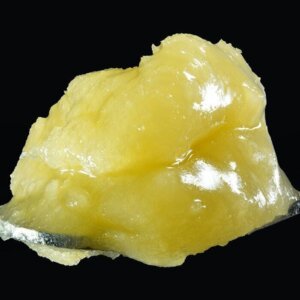 Wojo 1g Live Rosin Wojo Runtz product image