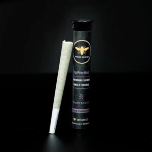 Wojo 1g Preroll Lemon Stank product image